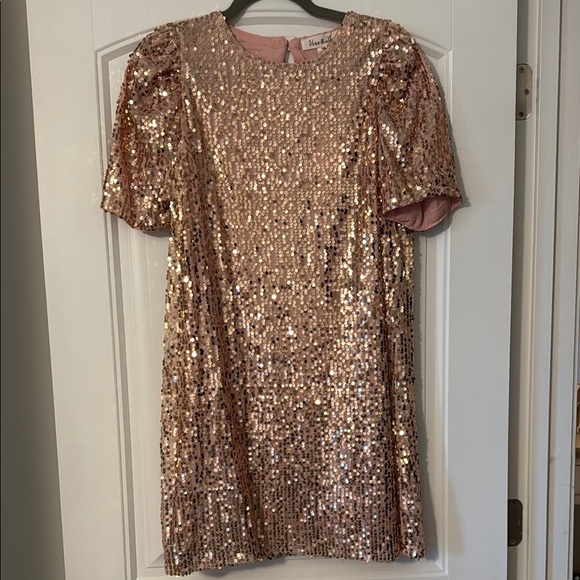 Vine & Love Dresses & Skirts - Vine & Love Pink Sequin Dress